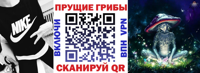 Купить закладки  Катайск  Галлюциногенные грибы Psilocybe 